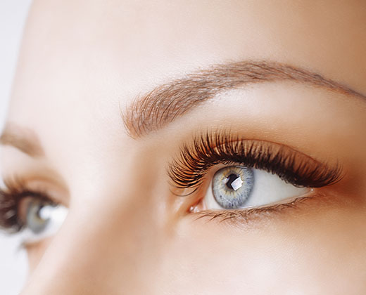 Macro shot of woman's beautiful eye with extremely long eyelashes. Sexy view, sensual look. Female eye with long eyelashes